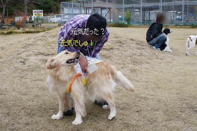 e186ef24.jpeg