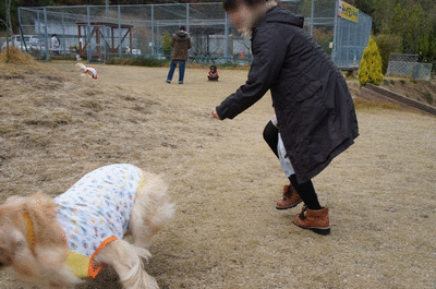1353916887h8OuyuR25YRL6d01353916885.gif