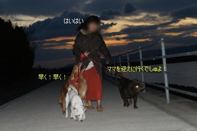 27c63cb2.jpeg