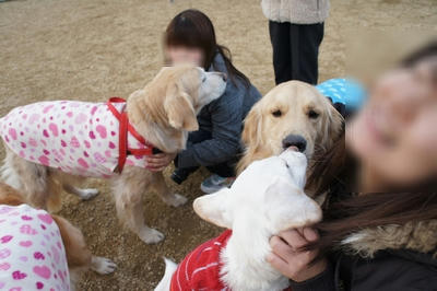 3a220102.jpeg