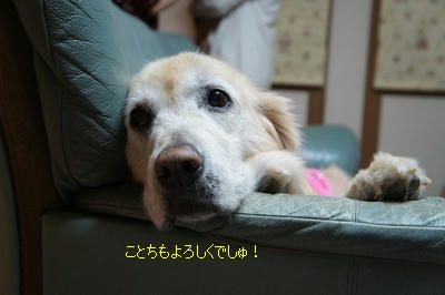 338172d5.jpeg