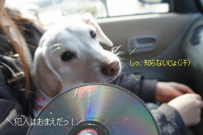 a2230291.jpeg