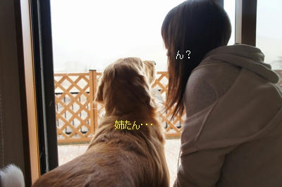 5d94bcd4.jpeg