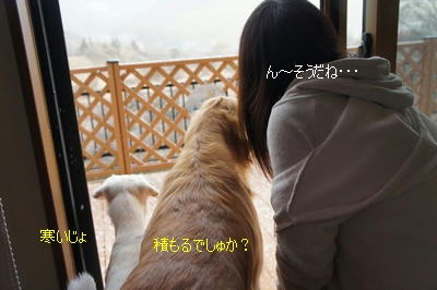 6363ff29.jpeg