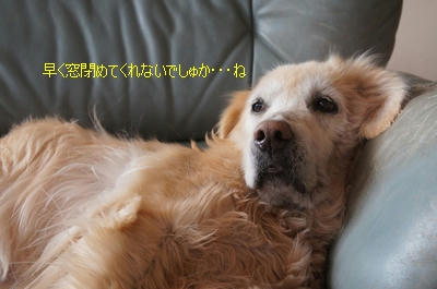 9f680001.jpeg