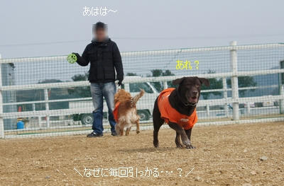 4acb8f72.jpeg