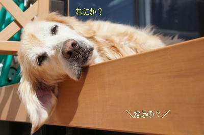 6232dcbc.jpeg