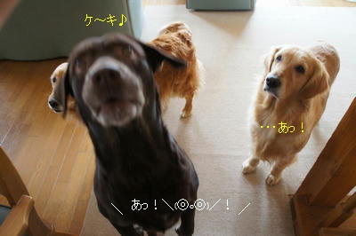 d7a3963d.jpeg