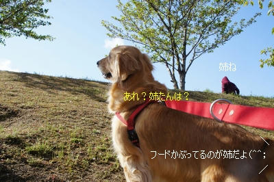 6cd925a7.jpeg