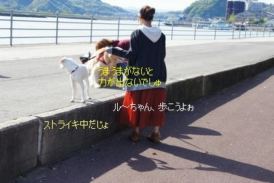 8625ccb2.jpeg