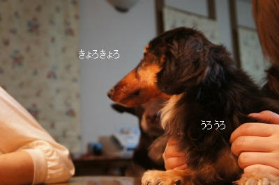 6122b759.jpeg