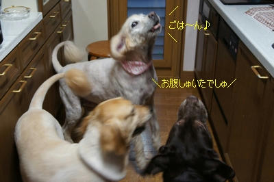 b38a135b.jpeg