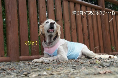 59a69014.jpeg