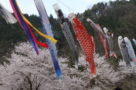 IMG_5319_1koinobori.jpg