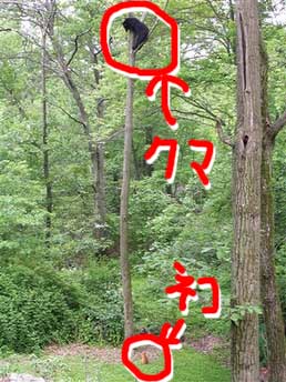200600612-003.jpg