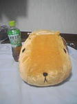 カピバラさん！