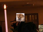 お犬スピーチ
