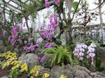お花３