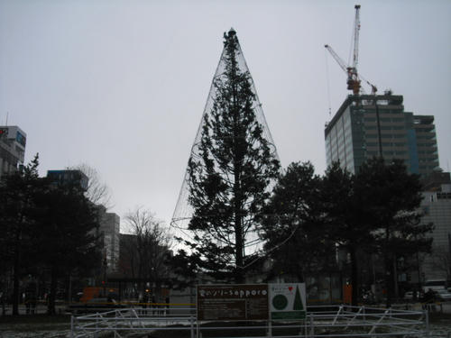 CIMG0756.JPG