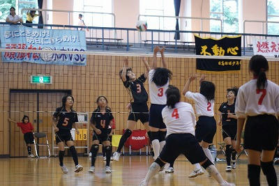 DSC00082.jpg