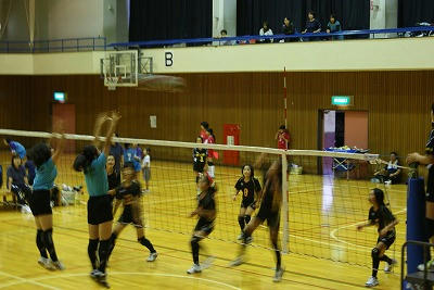 DSC00368.jpg