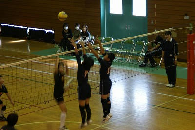 DSC00465.jpg