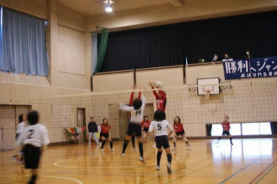 DSC00480.jpg