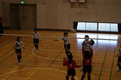 DSC00487.jpg