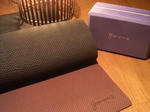 P1000044.jpg