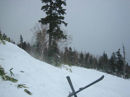 th_IMG_1590.jpg