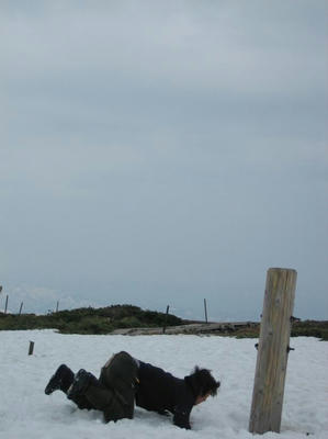 th_IMG_1803.jpg