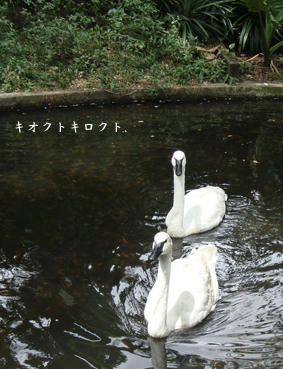 9837eb62.jpeg