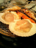 hotate