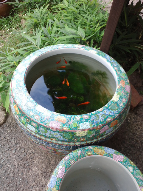 CA3J01650001.jpg