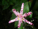 IMGP3346.JPG