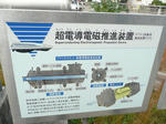 P1000752-1.jpg