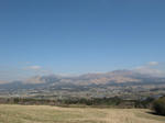 2006_01.jpg