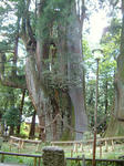 0209081348.jpg