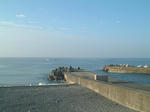 0209090648.jpg
