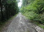 0707081431.jpg