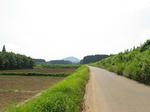 0707281406.jpg