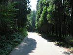 0707281411.jpg