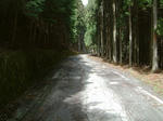 0304131134.jpg