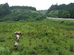 0707291034.jpg