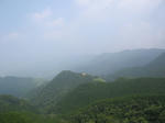 0707291439.jpg