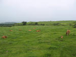 0707301217.jpg