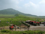 0707301421.jpg