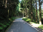 0708171047.jpg