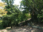 0708171224.jpg