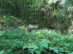 0709090837.jpg